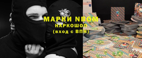 шишки Краснотурьинск