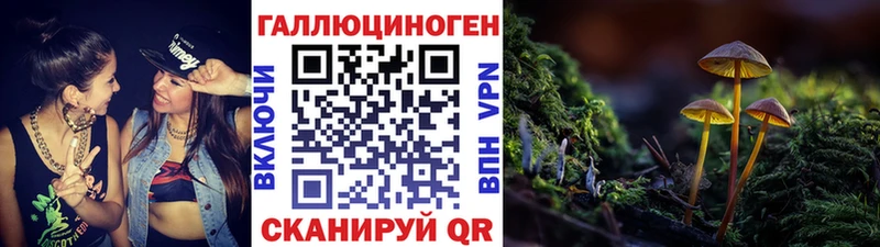 Псилоцибиновые грибы Magic Shrooms  Купить где  Балашов 